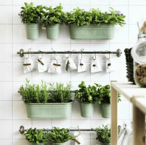 horta