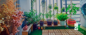 horta em apartamento
