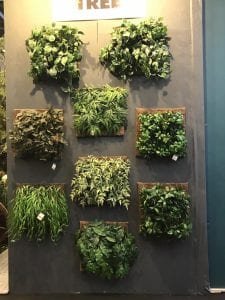 JARDIM VERTICAL NA ABIMAD