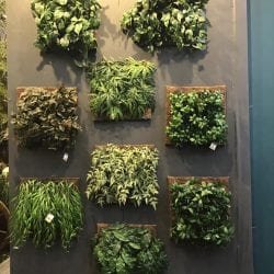 JARDIM VERTICAL NA ABIMAD