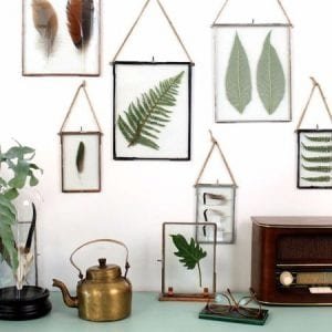 quadros com plantas