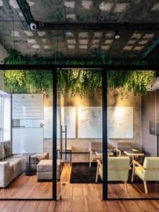 Biofília na arquitetura e design de interiores
