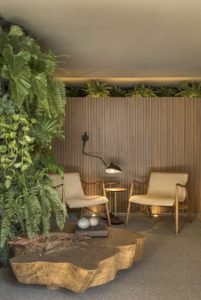 Biofília na arquitetura e design de interiores