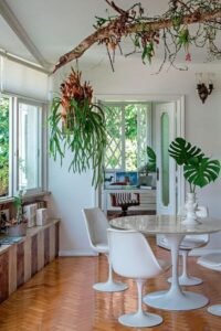 plantas na sala de jantar